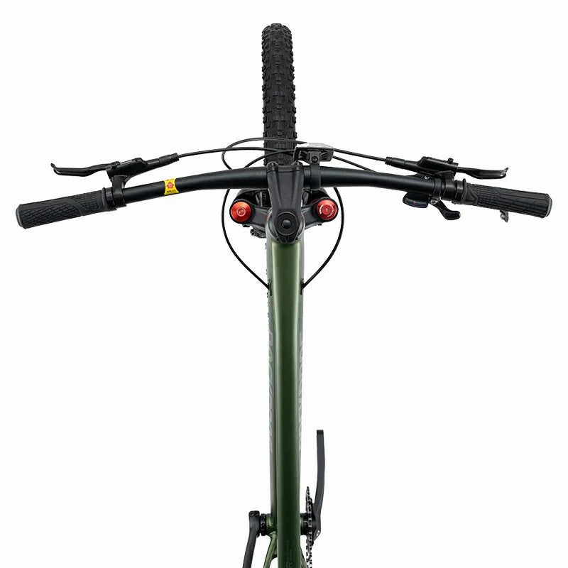 ROCKBROS 29 inch mountain bike with Shimano Deore 12 speed drivetrain and hydraulic disc brakes
#Color_Green