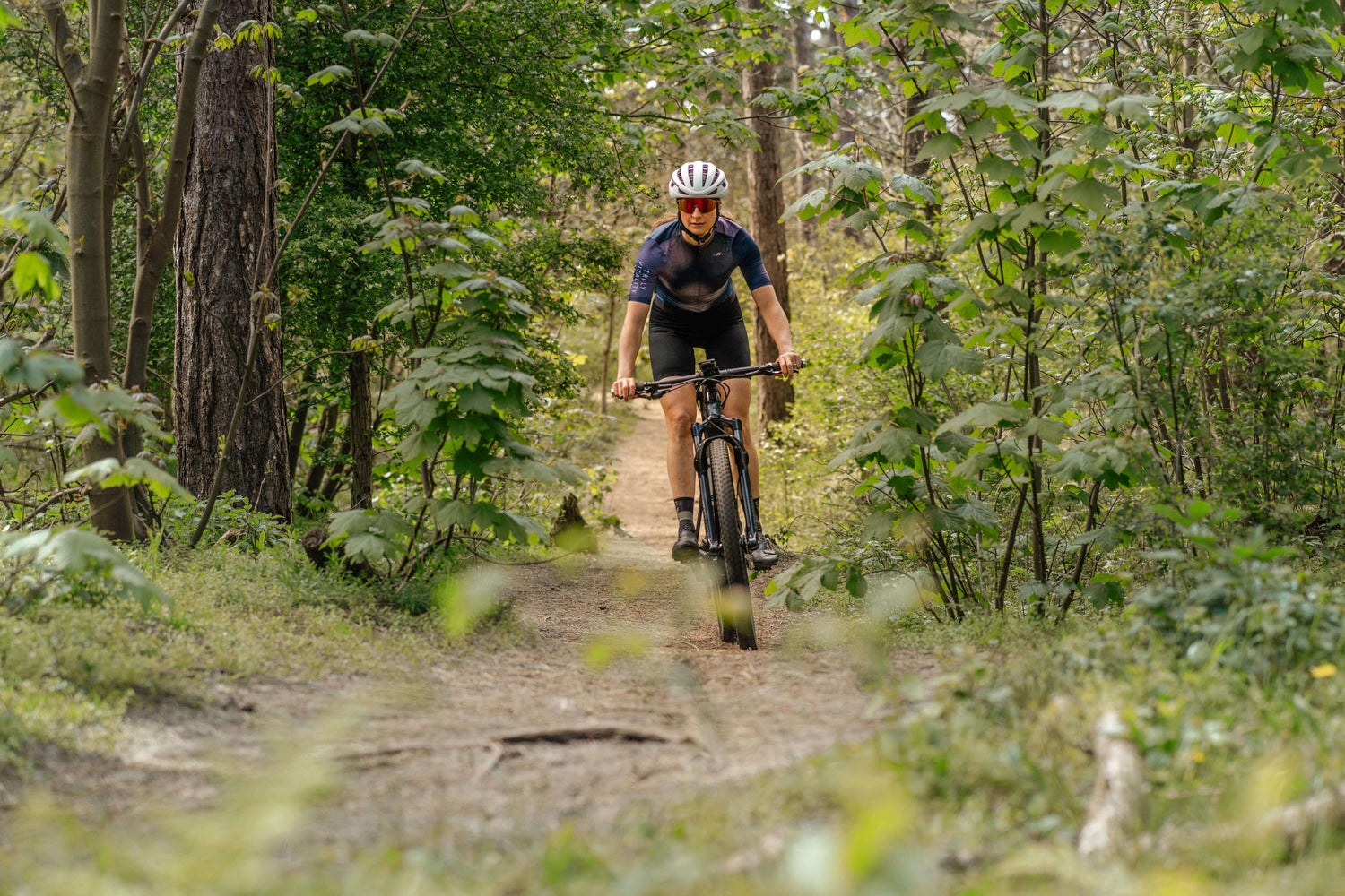 Best Bike Routes in California for Weekend Riders