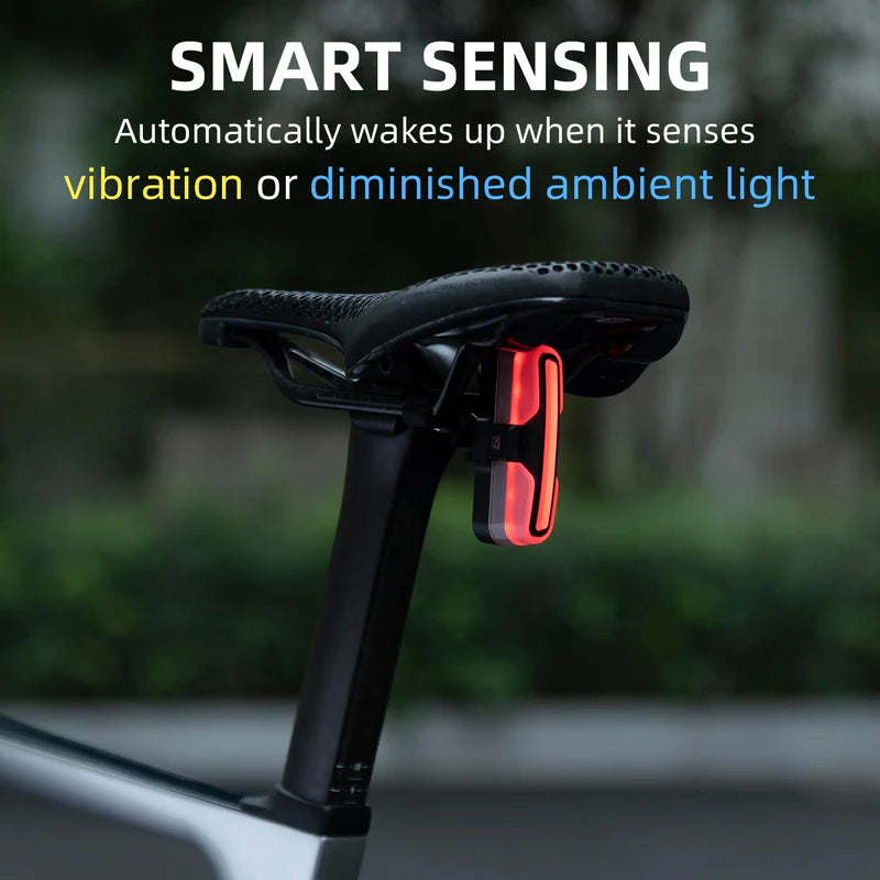 ROCKBROS Smart Bike Tail Light with Brake Sensing, Auto On/Off, and USB-C Rechargeable Battery